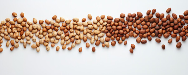 Artistic composition of mixed nuts forming gradient on white background, showcasing various textures and colors that evoke sense of natural abundance and health