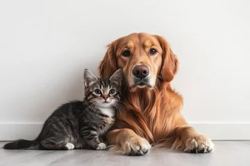 Golden retriever puppy and tabby kitten snuggling together on bright white backdrop, adorable pets showcasing friendship and affection, perfect for family and pet enthusiasts