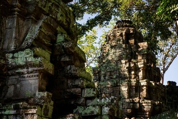 Fototapeta premium Ancient stone temple ruins in Angkor Wat, Cambodia.