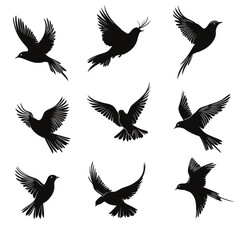 Fototapeta premium Flying birds silhouettes isolated on transparent background