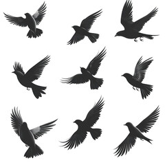 Obraz premium Flying birds silhouettes isolated on transparent background