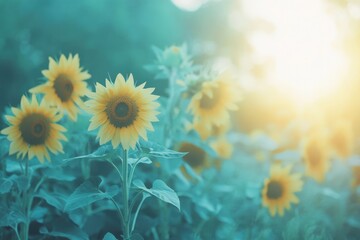 Sunflowers bask in the warm sunlight, creating a serene and picturesque summer scene.