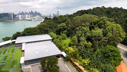 City meets nature, a verdant contrast.