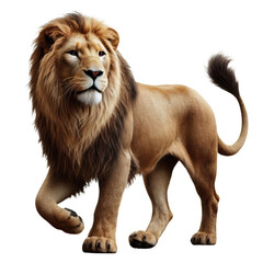 Obraz premium A PNG of a lion standing with no solid background - Lion PNG - Transparent background lion image 