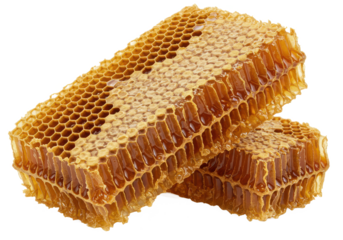 Honeycombs isolated on white background, no depth of field, sharp.