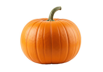 Pumpkin isolated on white background, no depth of field, sharp.