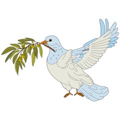 A white dove with an olive branch in close-up, isolated illustration, on a white background