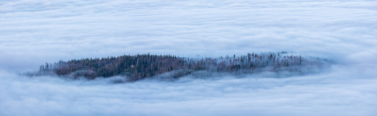 Panorama of forest island in a sea of fog, Bohemian Forest, Czech Republic
