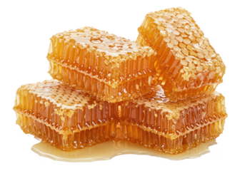 Sweet honey combs with honey isolated on white background, no depth of field, sharp.
