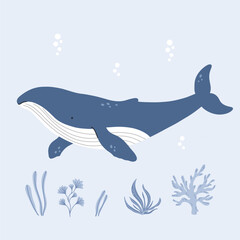 Vector illustration of a whale swimming in the ocean, surrounded by sea plants and coral. Simple, flat, and hand-drawn design in soft blue tones, suitable for marine-themed decor, children’s projects