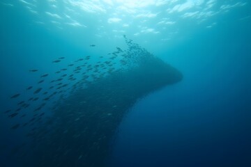 A school of fish swimming in a precise arrow formation underwater.