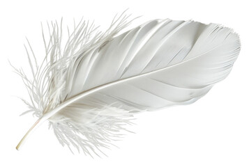Obraz premium PNG Floating white feather accessories minimalist accessory.