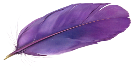 PNG Purple feather accessories accessory jewelry.