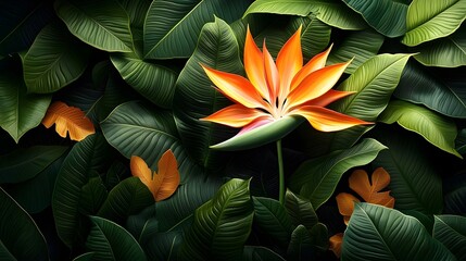A vibrant orange flower emerges from a lush green backdrop of tropical leaves, embodying nature's beauty and tranquility in this striking composition.