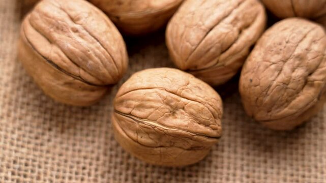 Organic walnuts on rough rustic sackcloth. Unshelled nuts with nutshell on burlap. Top view. Rotation