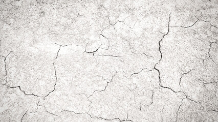 Cracked Dry Surface Texture with Light Gray Color and Natural Patterns