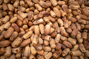 Sweet dates fruit in Dates Shop, Makkah City, Saudi Arabia in hajj season
