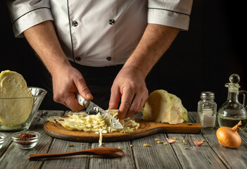 Skilled hands expertly chop fresh cabbage on a wooden board, showcasing the beauty of cooking. The rustic setting features various ingredients, adding charm to the culinary experience