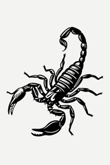 Intricate Scorpion Illustration with Detailed Body and Sharp Stinger