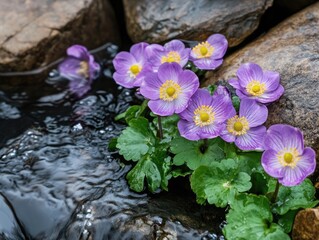 Purple flowers blooming near a gentle stream, amidst rocks with serene beauty
