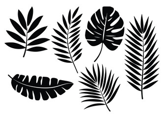 Set of palm leaf silhouettes isolated on a white background. Tropical botanical elements in black, perfect for nature-inspired designs, logos, and decorative patterns. Vector illustration.