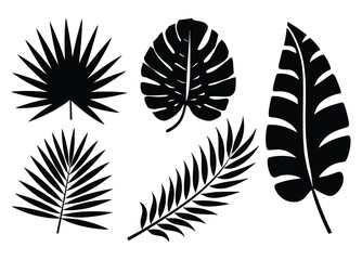 Obraz premium Set of palm leaves silhouettes in black. Tropical foliage collection isolated on a white background, for botanical designs, patterns, and decorative elements. Vector illustration.