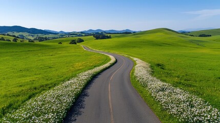 Naklejka premium Countryside roads nature concept. A winding road through lush green fields under a clear blue sky.