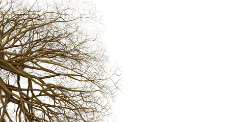 Illuminated winter tree branches against black background, holiday decoration, festive design element