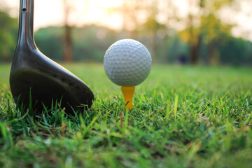 Close-Up of Golf Club and Golf Ball on Green Grass in Evening Light