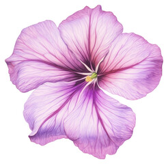 Naklejka premium PNG Petal illustration botanical drawing.