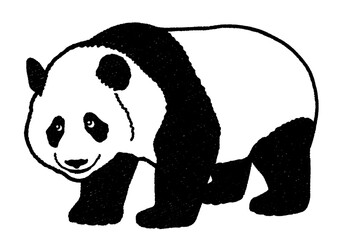 パンダ