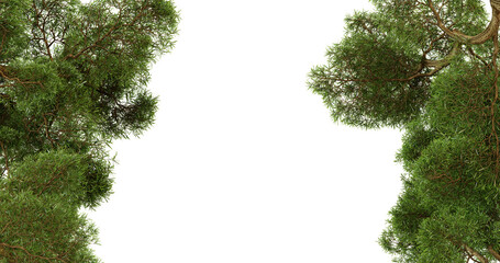 Lush green trees frame a dark background, creating a natural border perfect for photo editing or design