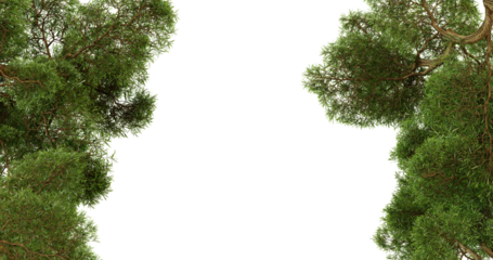 Lush green trees frame a dark background, creating a natural border perfect for photo editing or design