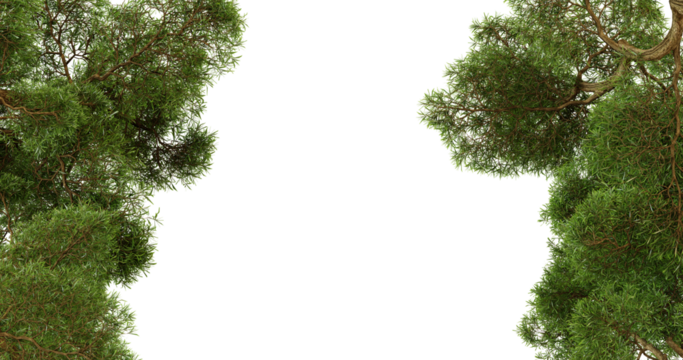 Lush green trees frame a dark background, creating a natural border perfect for photo editing or design