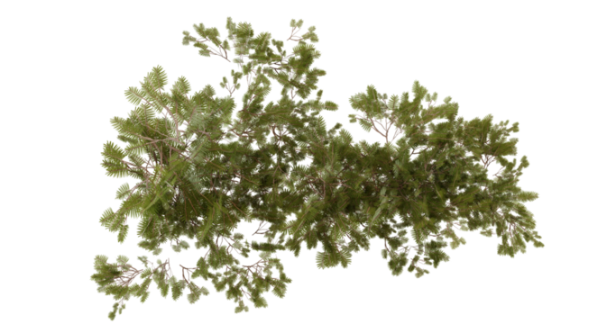 Aerial view of a sprawling green treetop in a forest, showcasing detailed foliage, ideal for environmental or gaming backgrounds