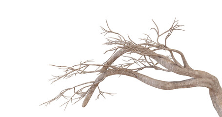 Detailed 3D render of a nerve plexus, branching intricately against a black background, for medical illustration or anatomy education