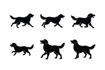 Golden Retriever silhouettes in various poses on white