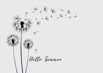 Hello summer. Vector illustration dandelion seed blowing in the wind.
