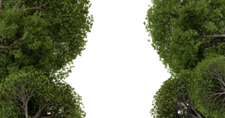 Lush forest path opening, sunlight filtering, green canopy, nature background, ideal for travel brochure