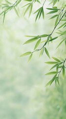 Fototapeta premium Serene bamboo leaves on a misty green background