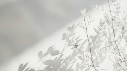 Obraz premium Minimalistic white background with a slight texture stock photo