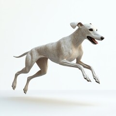 Fototapeta premium Energetic Whippet Dog Running in Dynamic Stride 3D Render