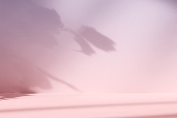 Abstract pink color gradient studio background for product presentation. Empty room with shadows of window and flowers and plant leaves . 3d purple room with copy space. Blurred backdrop.