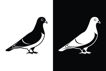 Pigeon Bird Silhouette Vector Icon Black and White Background