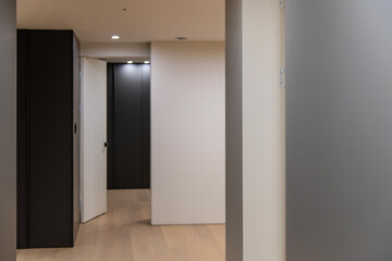 isle and corridor in the apartment