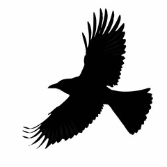 Naklejka premium cutout black silhouette of flying raven