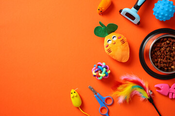 Pet accessories and toys on an orange background, including a plush carrot, grooming brush, food bowl with kibble, colorful ball, feather toy, scissors, and toy mice. Flat lay, top view.