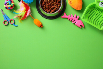 Pet supplies on a green background, including a food bowl, toys, grooming scissors, and a litter scoop. Pet care concept.