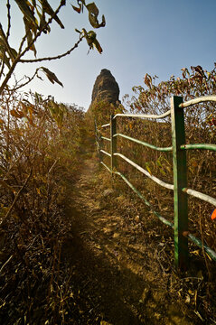 Path through bushes and iron railings leading to the top of Ratangad fort located in Ahmednagar, Maharashtra, India.