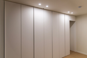 cabinet and closet in the bedroom